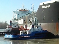 Navires